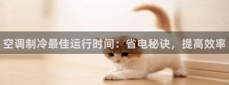 环球360网站 点杀吗