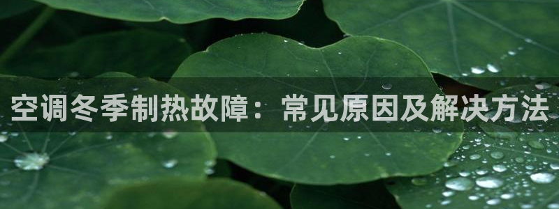 环球360官网会员